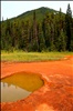 Kootenay National Park "Paint Pots"